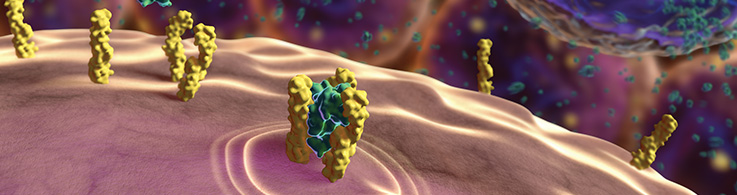 Obrazek posiada pusty atrybut alt; plik o nazwie CST-Covid-19-Cytokines-2.png